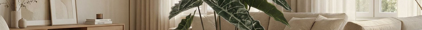 Our favourite large artificial indoor plants for 2026