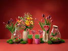 Valentine’s at urbanjngl: love that keeps growing