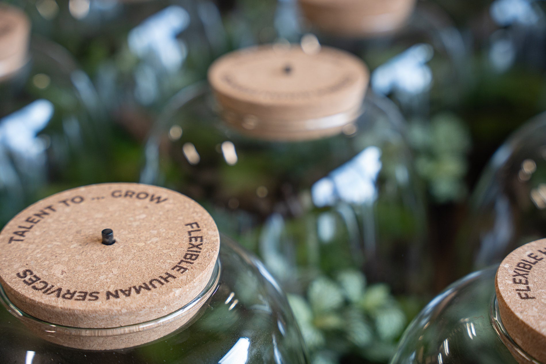 Personalized terrarium cork lids: create a truly unique gift