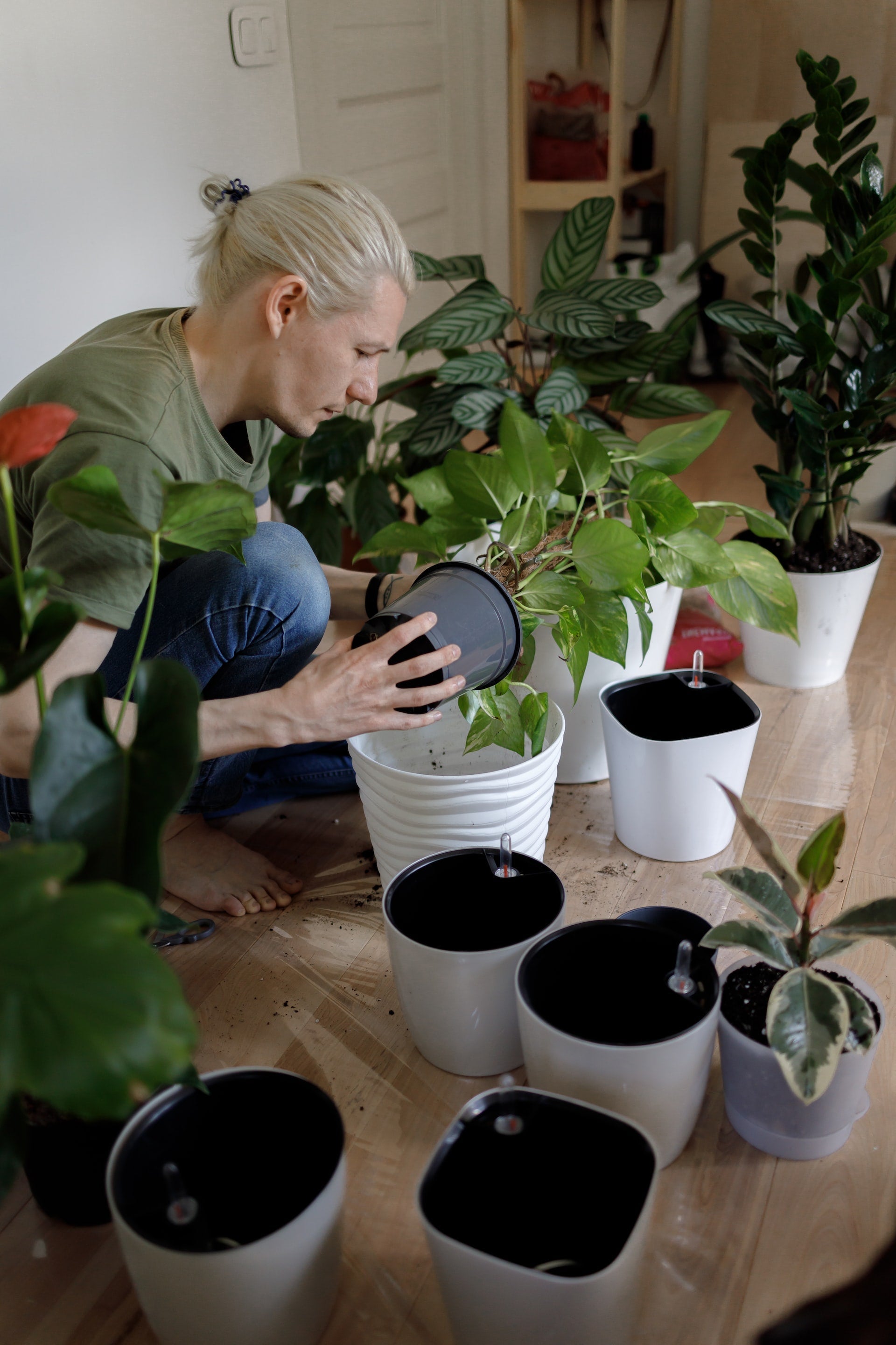 Tips to care for your new plant friend