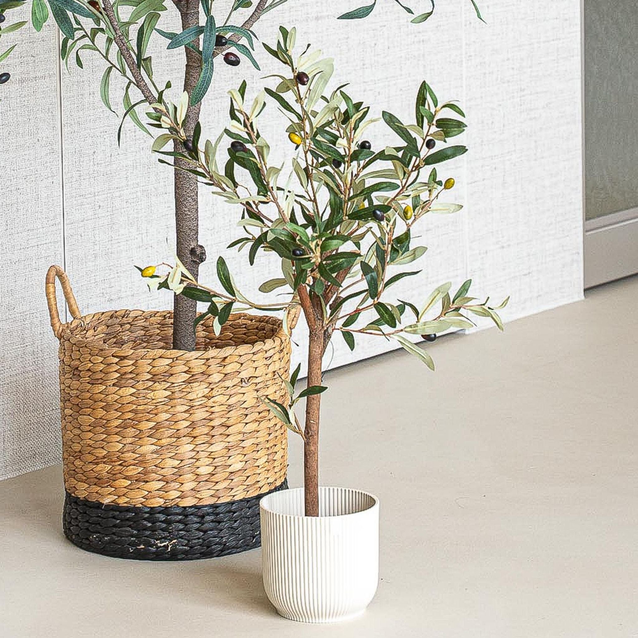 10 easy indoor plants that love warm weather | Best plants for the summer