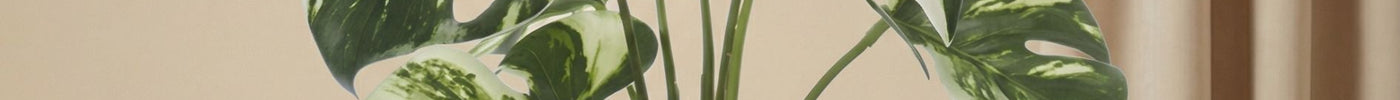 The ease of artificial plants and flowers