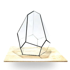 Geometric Terrariums