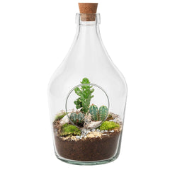 All open terrariums