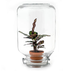 Easyplant