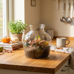 Autumn terrariums