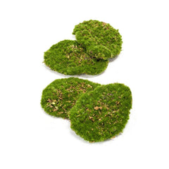 Moss products