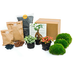 Terrarium refill/start kit