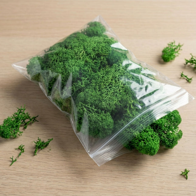 Decorative reindeer moss - Green - 1 Bag - 50g