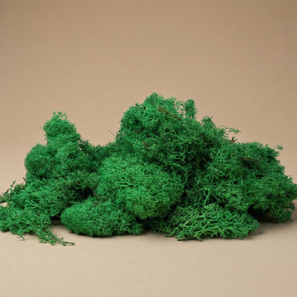 Mousse de renne décorative - Vert foncé - 1 sachet - 50 g