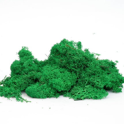 Mousse de renne décorative - Vert foncé - 1 sachet - 50 g