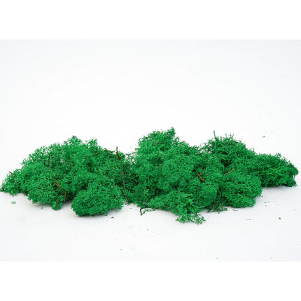 Mousse de renne décorative - Vert foncé - 1 sachet - 50 g