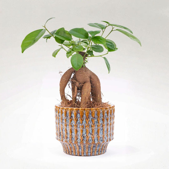 Echo Rustic - Plant Pot - Blue/brown - Ø 10 cm ↑ 9 cm