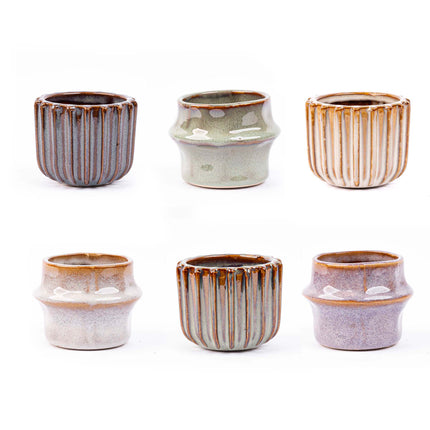 Mini plant set 6 - Including pot set Barcelona
