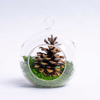 1 pc (Glass + pine)