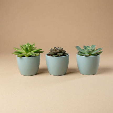 Pot Boule Vert Urbain Mat