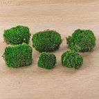 2 bags (6 pcs)