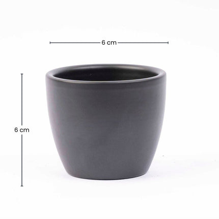 Anthrazit Matt - Mini Pflanzentopf - Kugeltopf Anthrazit - Ø 6 cm ↑ 6 cm
