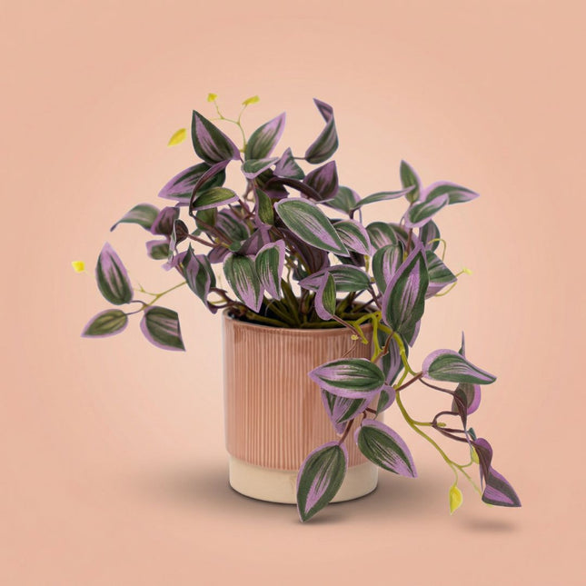 Tradescantia - hangplant in pot - kunstplant- Groen/paars - ↑ 19 cm