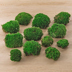 4 bags (12 pcs)