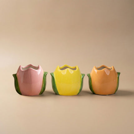 Oster Pflanzen-Topfset - Tulpen-Töpfe mit Mini Pflanzen - Set mit 3