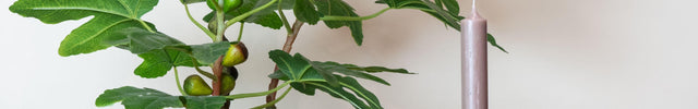 Artificial plant