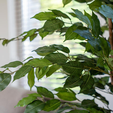 Ficus Deluxe Set - 2 Stück - Kunstpflanzen - Bundle-Set
