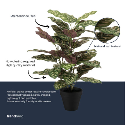 Calathea bush in pot - Artificial plant - 65 cm