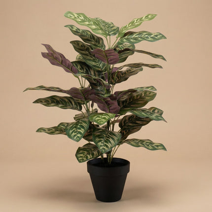 Calathea bush in pot - Artificial plant - 65 cm