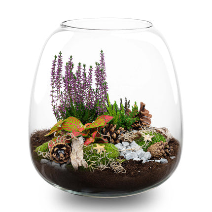 Cosy Winter terrarium - Planten terrarium met kurk - DIY kit Christmas  - Ø 23 cm ↑ 25 cm
