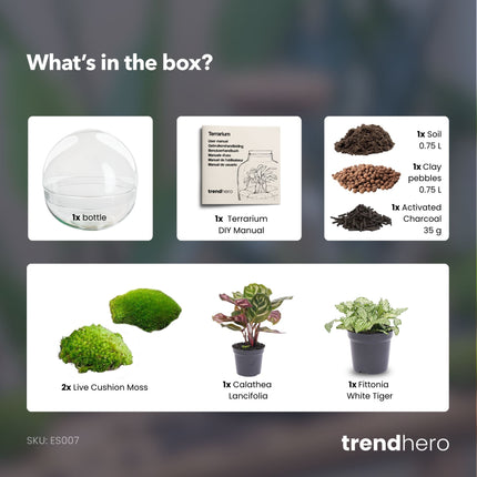 Dome - Two-part round glass terrarium - Bottle garden DIY kit - Ø 20 cm ↑ 20 cm