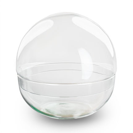 Terrarium bottle ‘Dome’ – Two-part round glass – Closed terrarium Ø 20 cm ↑ 20 cm