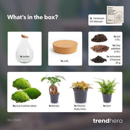 Drop XL Rood - Planten Terrarium met kurk - DIY kit - Ecosysteem plant - Ø 24 cm ↑ 37 cm