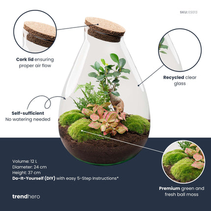Drop XL Rood - Planten Terrarium met kurk - DIY kit - Ecosysteem plant - Ø 24 cm ↑ 37 cm