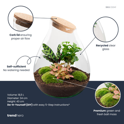 Drop XXL Red - Terrarium with cork - Bottle garden DIY kit - Ø 34 cm ↑ 43 cm