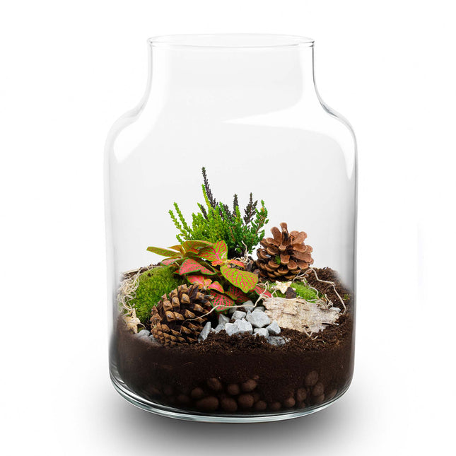 Frost - Winter terrarium - Bottle garden DIY kit - Ø 17 cm ↑ 25 cm