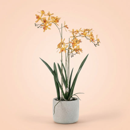 Renanthera Orchidee Gelb & Orange im Topf - 56 cm - Künstliche Pflanze