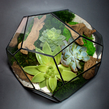 Geometric Terrarium - Torno - Vivarium - ↑ 28 x 26 x 24 cm (LxWxH) - Glass