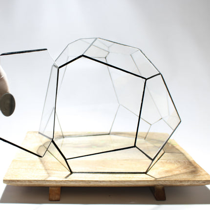 Geometric Terrarium - Torno - Vivarium - ↑ 28 x 26 x 24 cm (LxWxH) - Glass