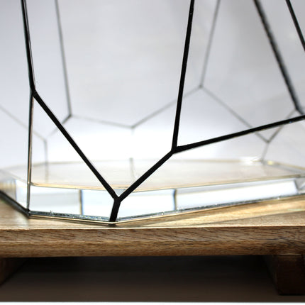 Geometric Terrarium - Torno - Vivarium - ↑ 28 x 26 x 24 cm (LxWxH) - Glass