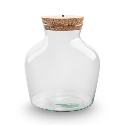 Terrarium Flasche ‘Little Joe’ - inkl. LED-Korken - Geschlossenes Terrarium Ø 20 cm ↑ 22 cm
