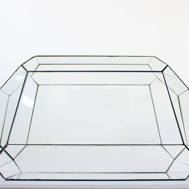 Geometric Terrarium - Nexus - Vivarium - ↑ 41,5 x 21x 23,5 cm (LxWxH) - Glass