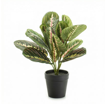 Maranta bush in pot - Artificial plant - 30 cm