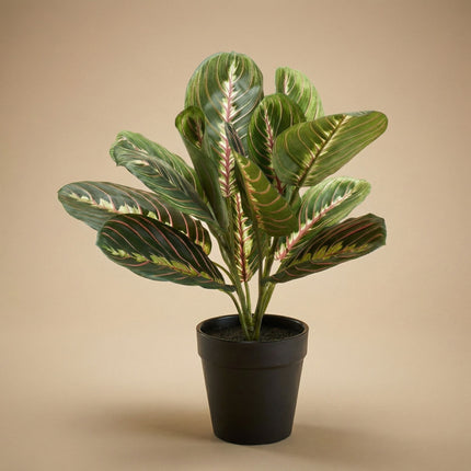 Maranta bush in pot - Artificial plant - 30 cm