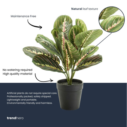 Maranta bush in pot - Artificial plant - 30 cm