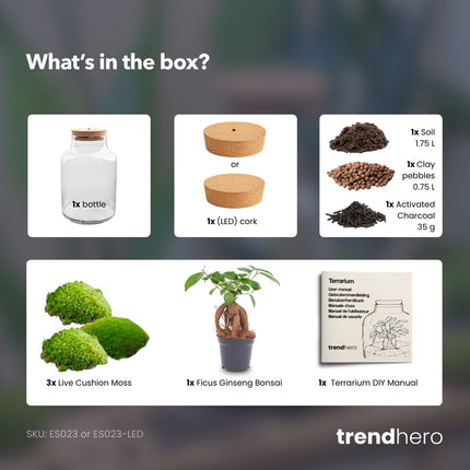 Milky Bonsai - Terrarium with light - Bottle garden DIY kit - Ø 21 cm ↑ 30 cm