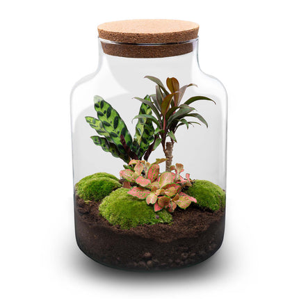Milky Palm - Terrarium with light - Bottle garden DIY kit - Ø 21 cm ↑ 30 cm