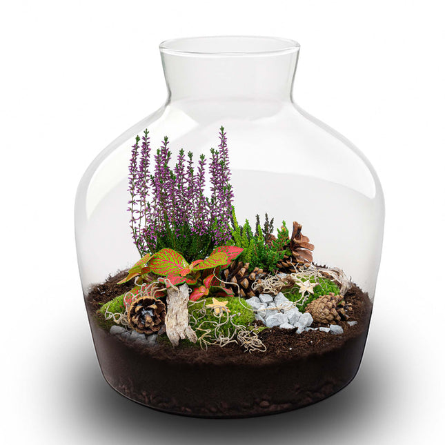 Mistle - Winter terrarium - Bottle garden DIY kit - Ø 29 cm ↑ 30