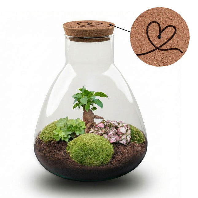 'LOVE MOM' terrarium Sam + Engraved cork with light - Bottle garden DIY kit - Ø 24.5 cm ↑ 30 cm - Mother’s Day