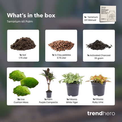 Mini-palmier - Kit terrarium recharge/démarrage - DIY